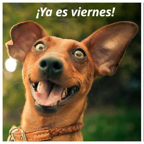 VIERNES 6 DE FEBRERO DE 2015 - Por favor pasen sus datos, pálpitos y comentarios de quiniela AQUÍ para hacerlo más ágil. Gracias.♣ Animales-34