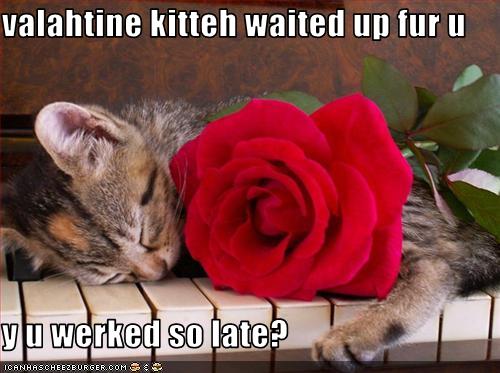 Happy day of peace and love <3 Funny-pictures-your-cat-missed-you-on-valentines-day