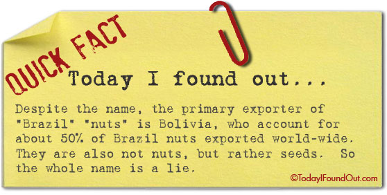 Ex Tory MP Nigel Evans - First Alleged Victim Brazil-nuts-a-lie