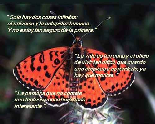 LUNES 22 DE OCTUBRE DE 2012 - Por favor pasen sus datos, pálpitos y comentarios de quiniela AQUÍ para hacerlo más ágil. Gracias.♦ Mariposas_reflexiones_de_vida