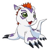 صور لمرافقي ابطال الديجيتال  Gomamon