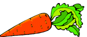 Fruit and vegetables Carrot