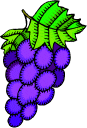 Fruit and vegetables Grape