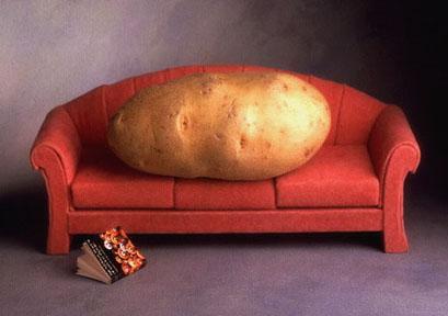 Related picture! - Page 3 Couch_potato_204705