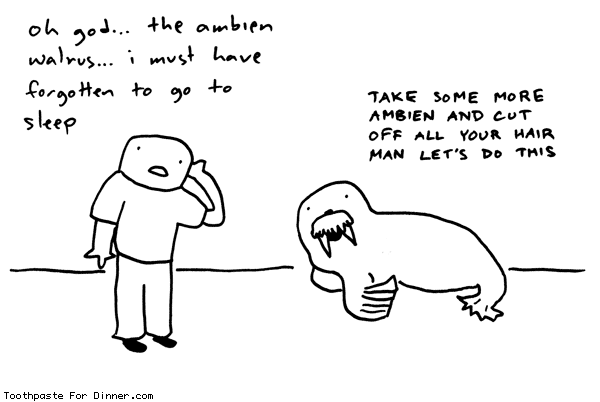 In honor of the "Sometimes Daily Walrus"... Ambien-walrus-says-lets-do-this