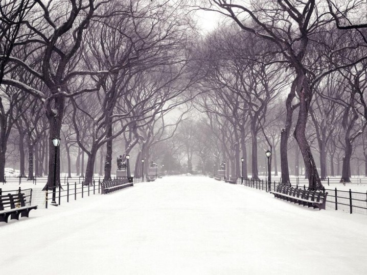 Mùa đông khắp nơi. New-york-winter-photography-718x539