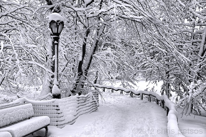 Mùa đông khắp nơi. Winter-central-park-1-lg1-718x480