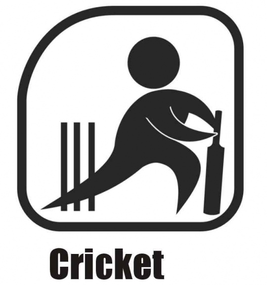 Things that suck (pictures only) Cricket-logo