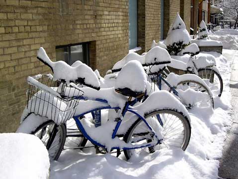 الدنيا صيف والحر شديد Winter-in-toronto-3154