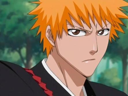 POINT EN COMMUN Ichigo-kurosaki