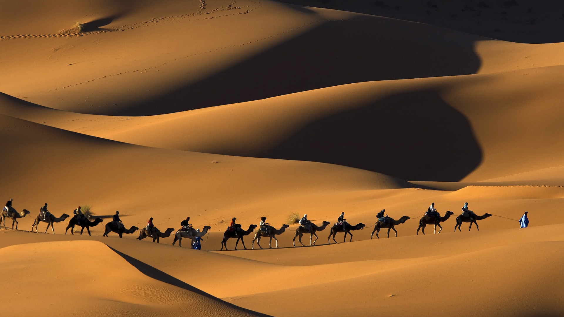 Le SAHARA, le plus grand désert du monde... Sahara-desert