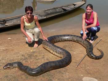 جولة سياحية في غابات الامازون Serpent