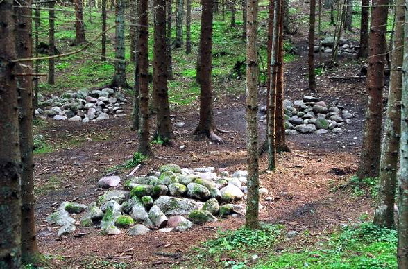 Pasaules un Latvijas apceļošana - vietas kur esam bijuši Pokaini-Forest