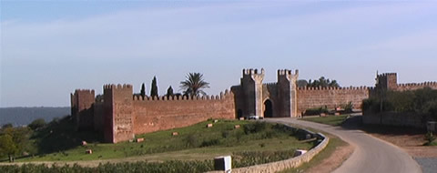 صور من المغرب Chellah-rabat-maroc