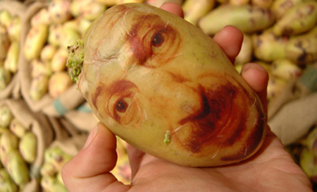 இவர்கள் யார்? Potatoportraits01