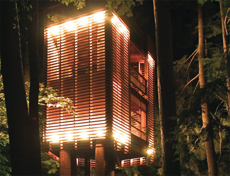 منازل تبنى على الاشجار Treehouses02