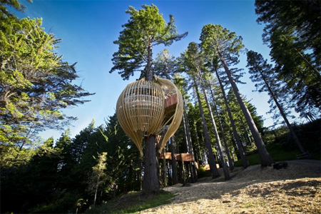 أشكال منوعه لمنازل  تبنى  على الأشجار. Treehouses07