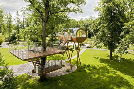 منازل تبنى على الاشجار Treehouses11