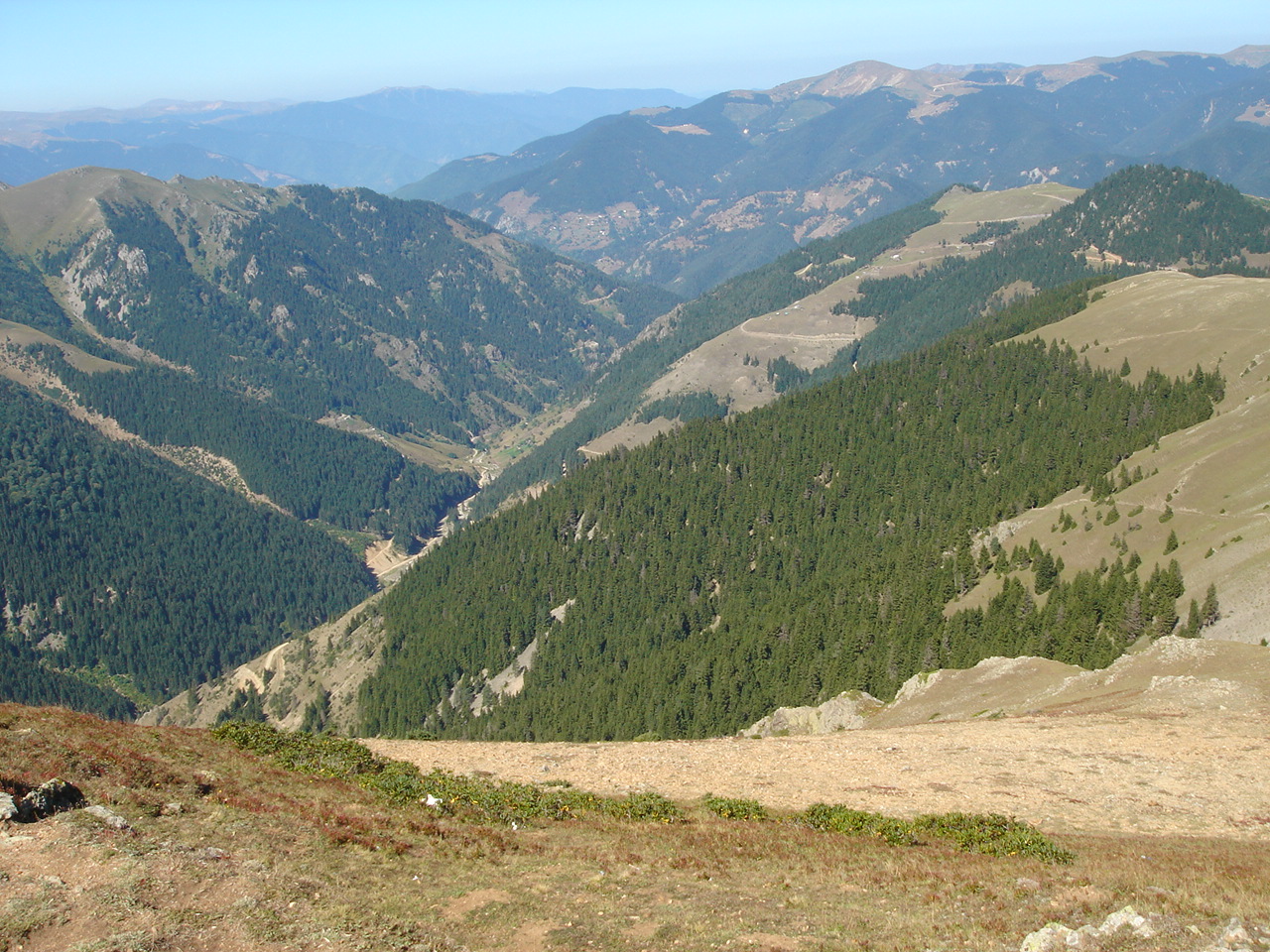 Şalpazarı Ağasar yöresi yaylalarına ait görüntüler. Şalpazarı Resimleri. DSC00001