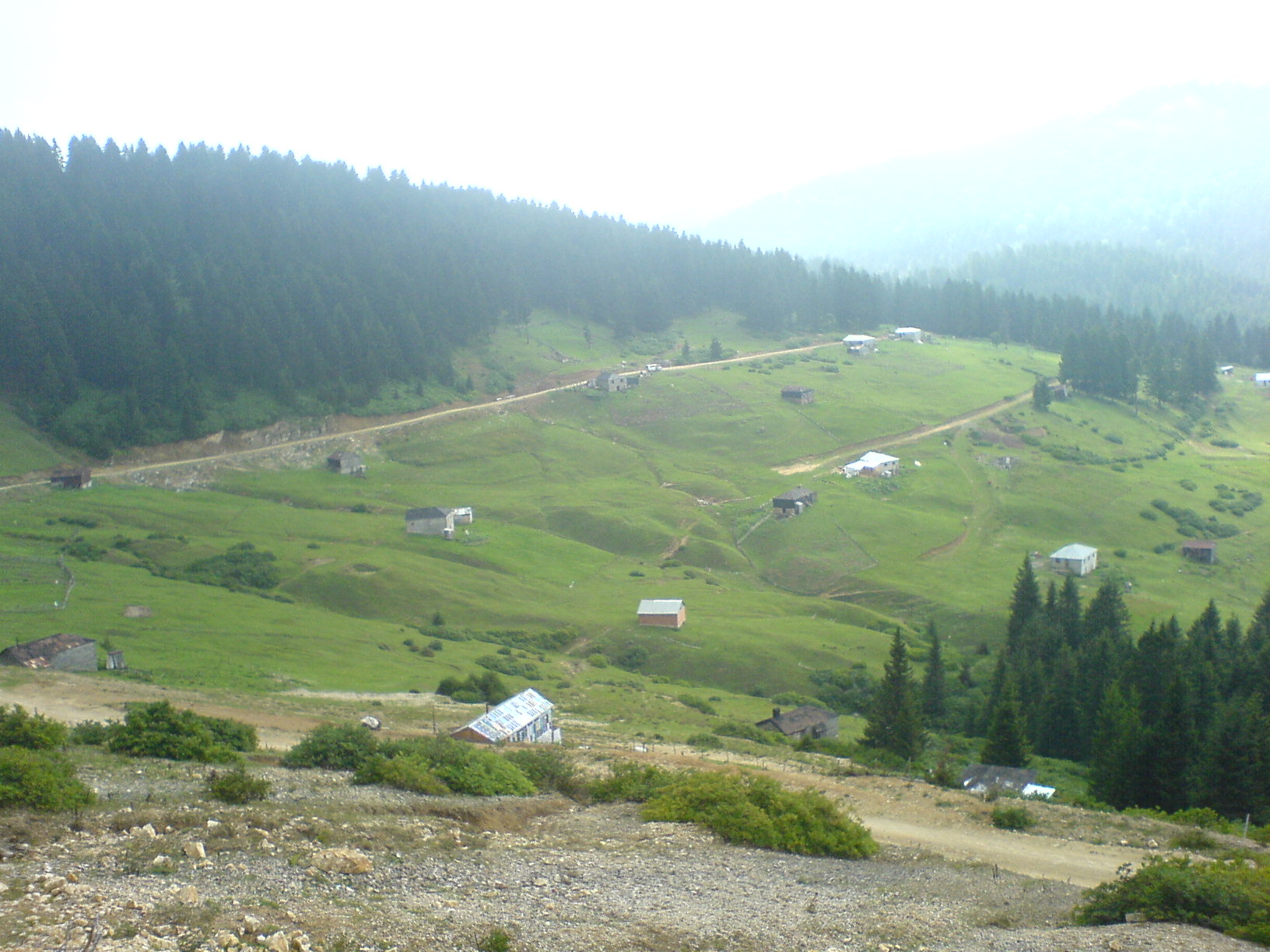 Şalpazarı Ağasar yöresi yaylalarına ait görüntüler. Şalpazarı Resimleri. DSC00005