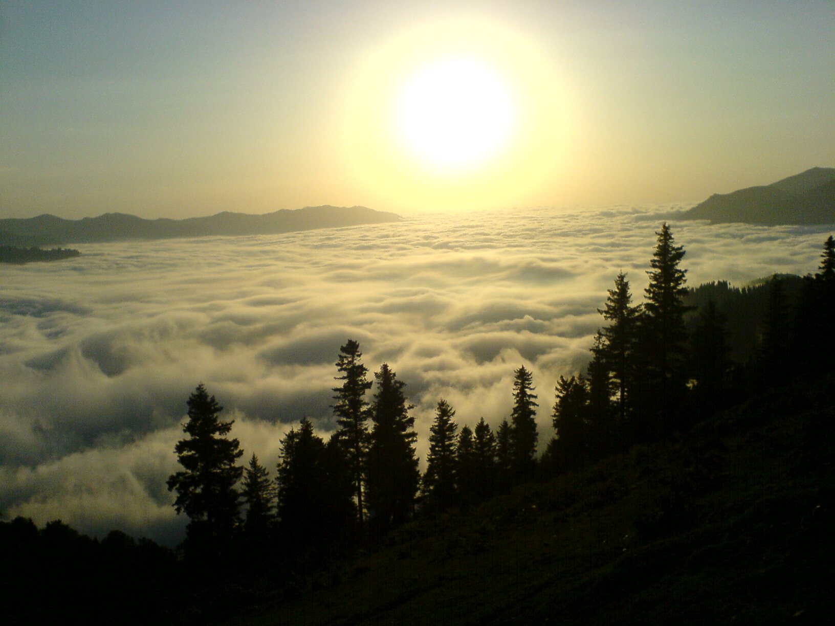 Şalpazarı Ağasar yöresi yaylalarına ait görüntüler. Şalpazarı Resimleri. DSC00012