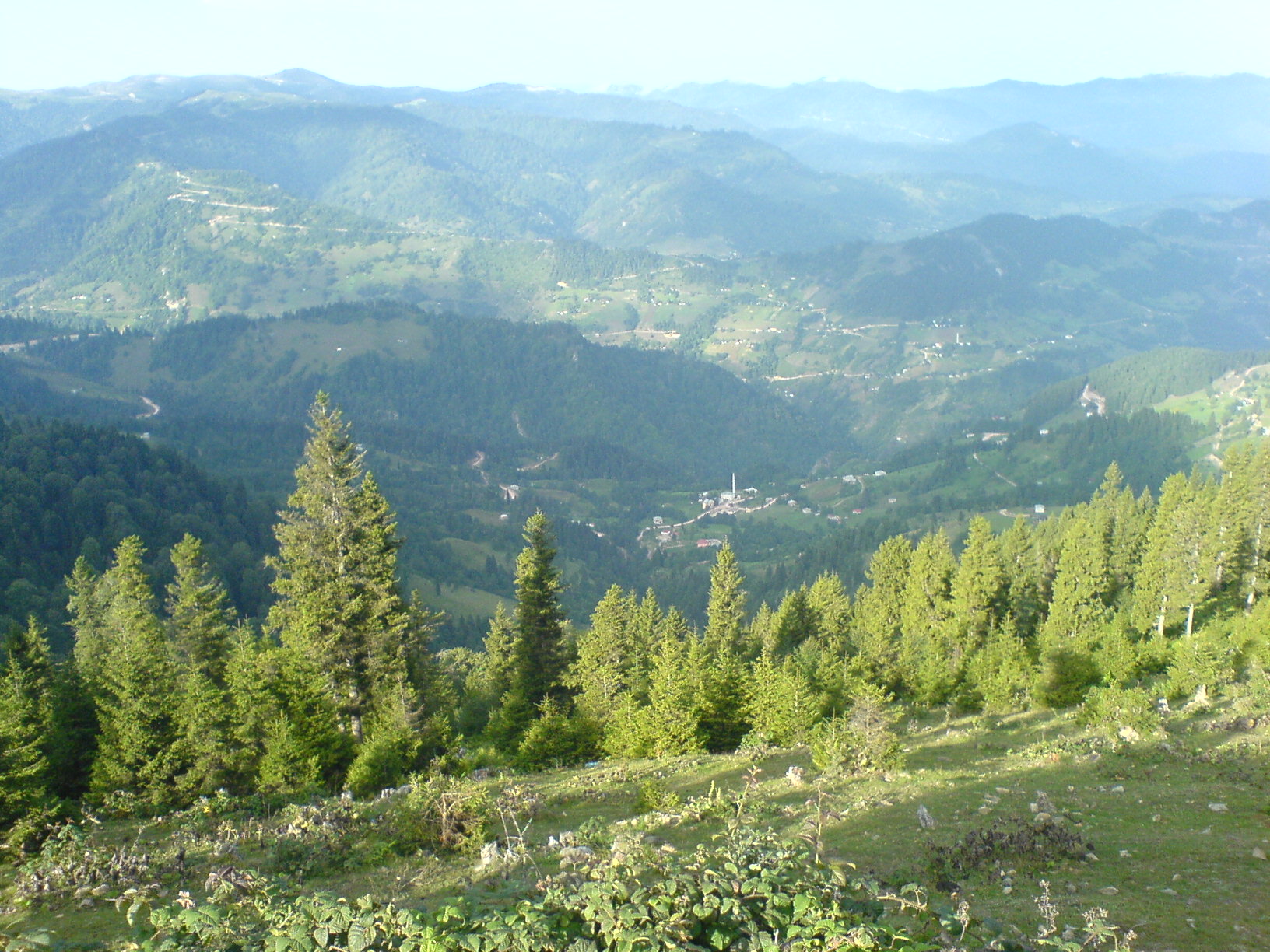 Şalpazarı Ağasar yöresi yaylalarına ait görüntüler. Şalpazarı Resimleri. DSC00019