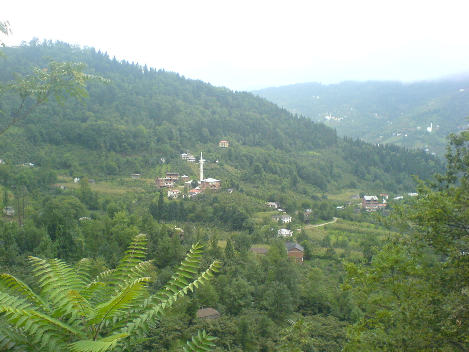 Şalpazarı Ağasar yöresi yaylalarına ait görüntüler. Şalpazarı Resimleri. DSC00020