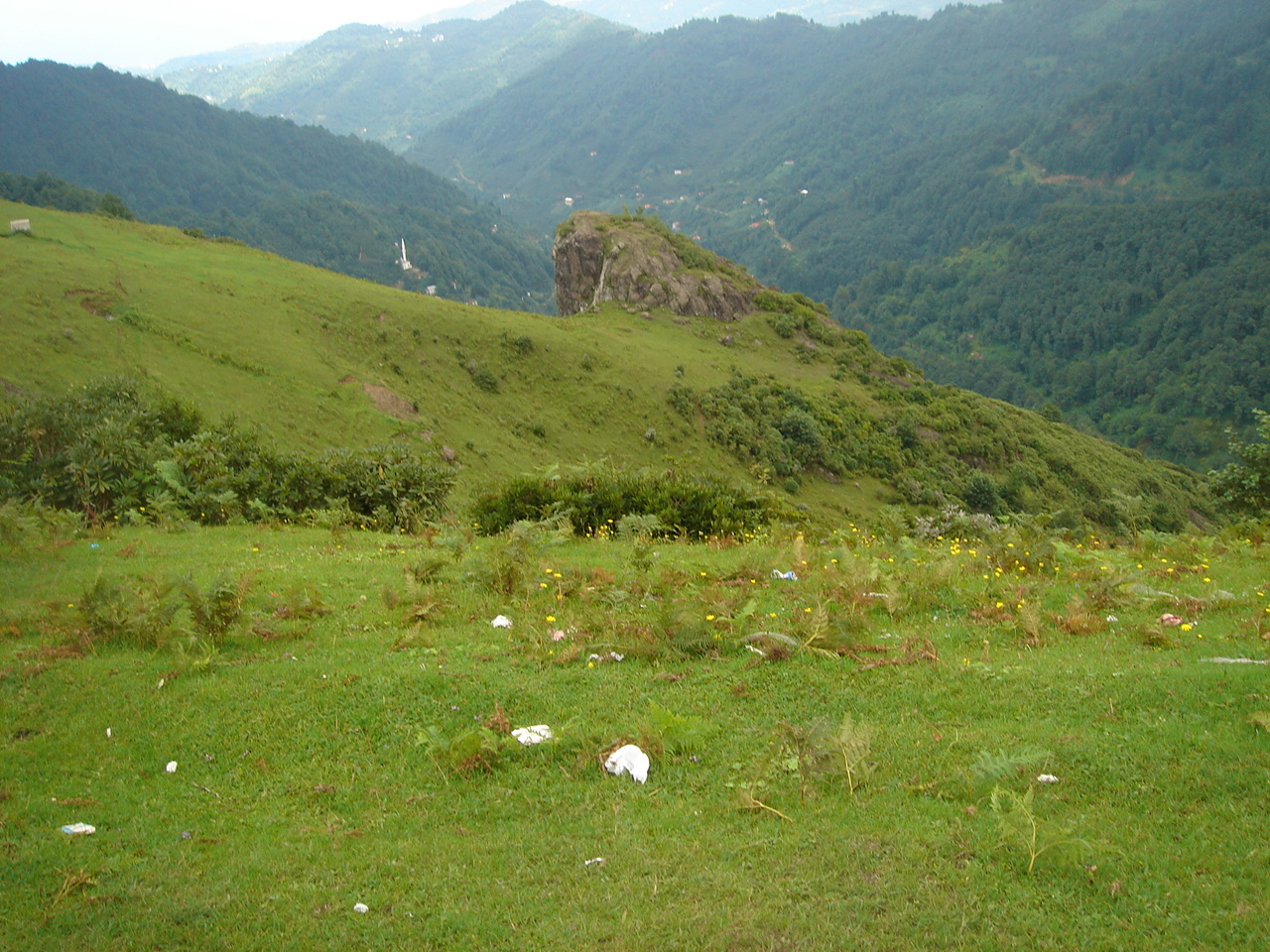 Şalpazarı Ağasar yöresi yaylalarına ait görüntüler. Şalpazarı Resimleri. DSC00024