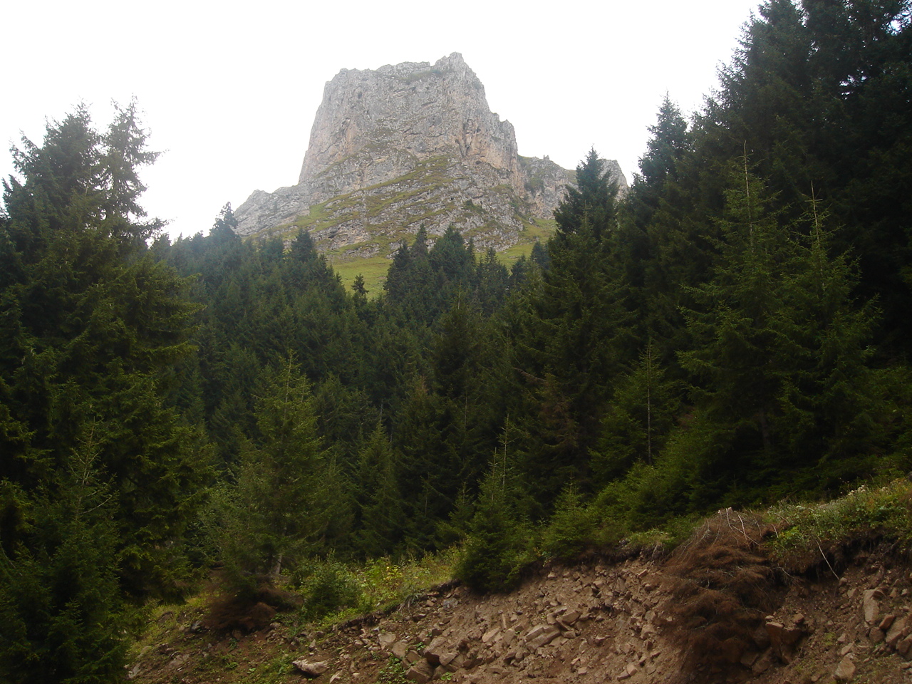 Şalpazarı Ağasar yöresi yaylalarına ait görüntüler. Şalpazarı Resimleri. DSC00026