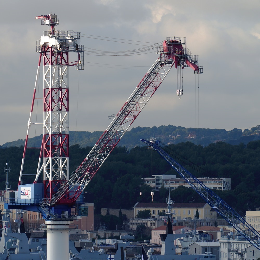 Jeu de grues SDIM0120