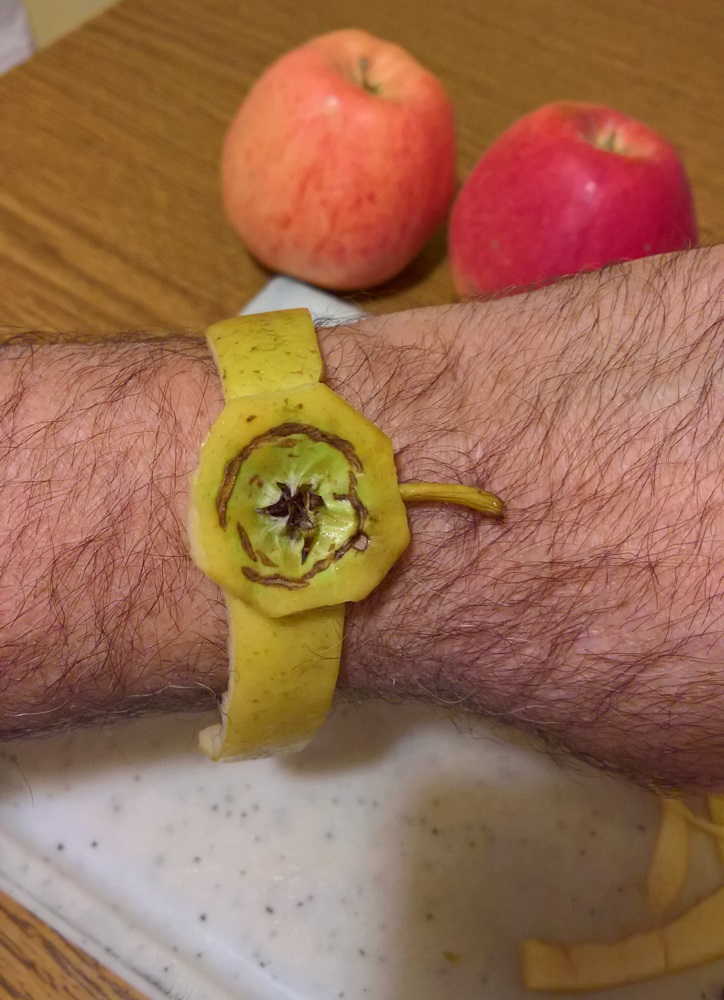 Je me suis fabriqué une montre Montre