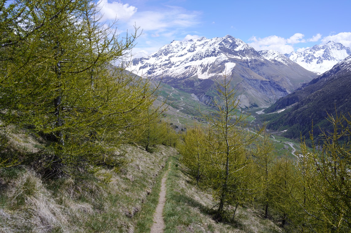 un  chemin comme je les aimes SDIM0622