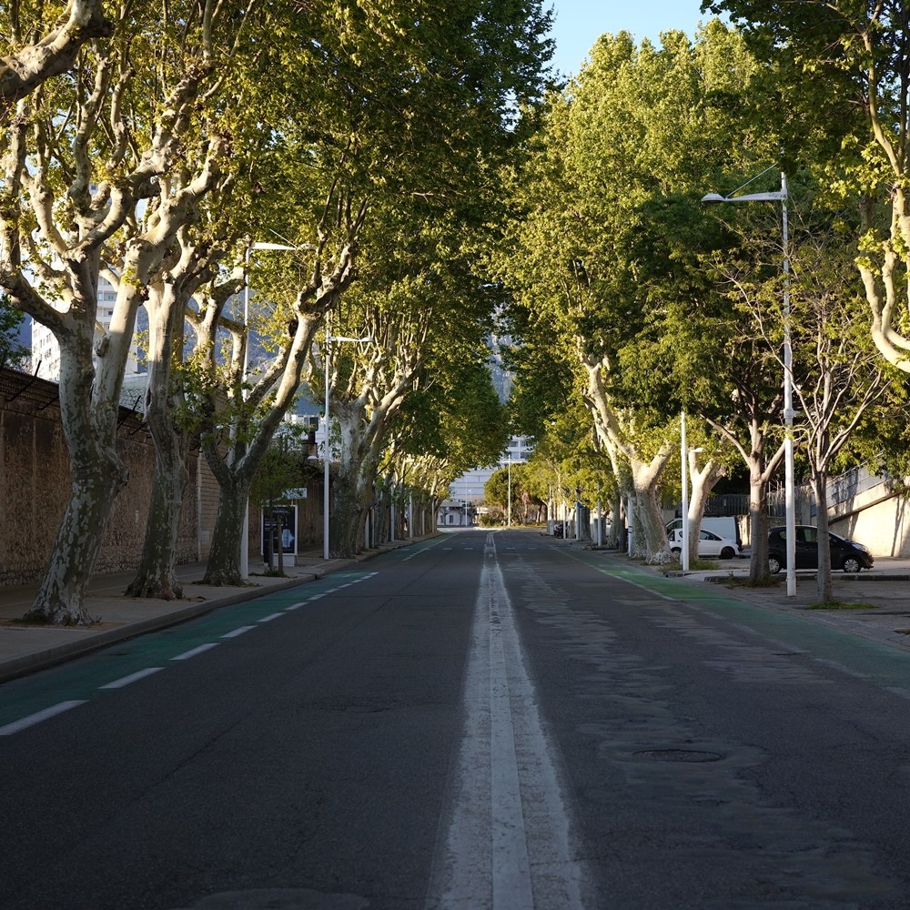 Avenue en heure de pointes SDIM0655