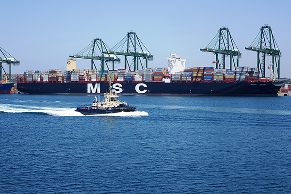 Transhipment garante quase metade dos contentores MSC-Zoe2