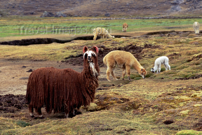 Galeria: Lo mejor del Perú (Parte I) Peru146