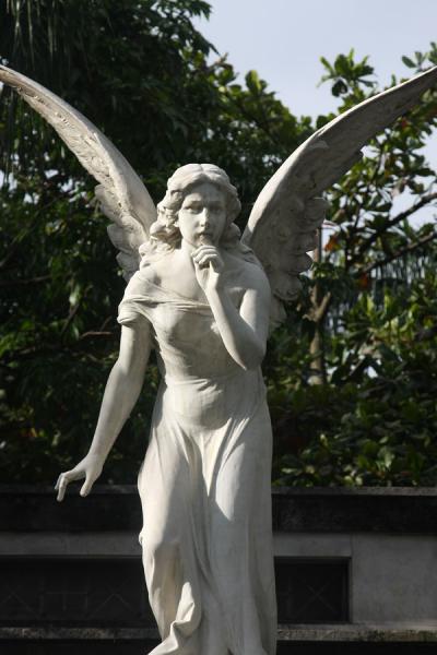 Статуята на Ангела. Medellin-san-pedro-cemetery02