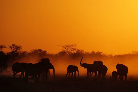 وجهات سياحية رخيصة Namibia