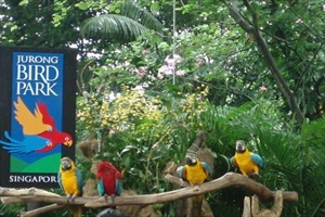 **  ** -  3 Jurongbirdpark1