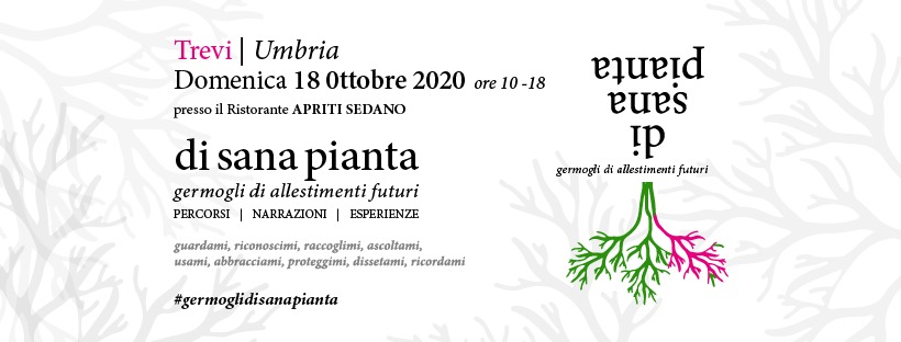 domenica - TREVI (PG) - Domenica 18 ottobre: DI SANA PIANTA  1005