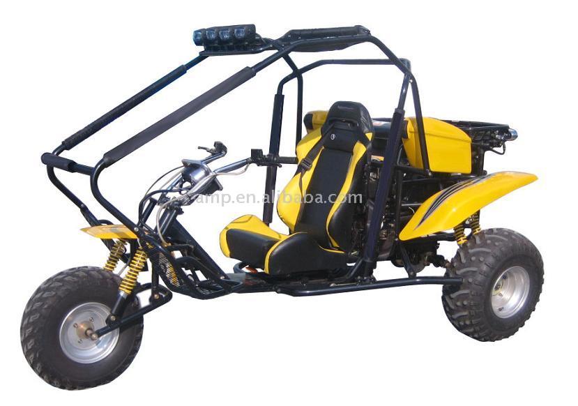 Trikes para todos los gustos.... Trike-buggy