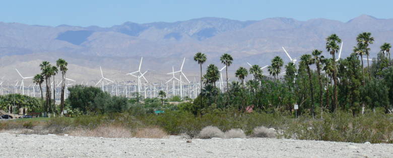 Le Sud de la Californie et ses déserts 3267