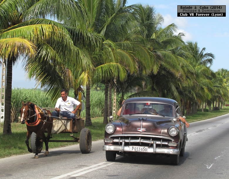 les chars de cuba - Page 2 5230