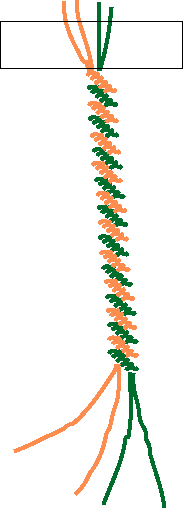 تعلم فن المكرمية Rope5