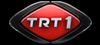 Yerli Tv Kanalları  Trt1_100x45