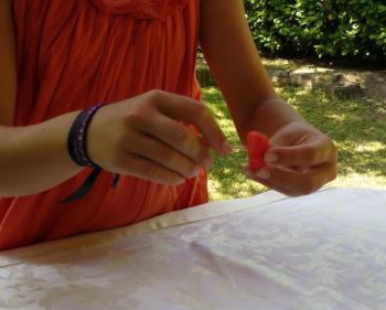 Bonbons à créer pour une fête Arbre-a-bonbons-a-creer-pour-une-fete-5