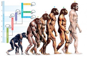  A Brief History of the Theory of Evolution A-Brief-History-of-the-Theory-of-Evolution-1-300x197