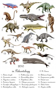  A Brief History of the Theory of Evolution A-Brief-History-of-the-Theory-of-Evolution-2-190x300