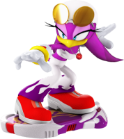 Sonic Riders Official Website! (USA AND UK) SFR_WV-178x200