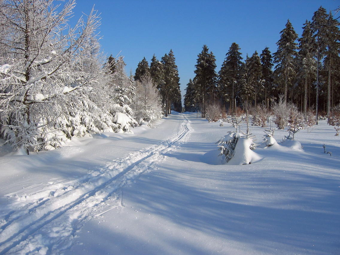 Svi putevi negde vode.... - Page 2 Weg-nach-schellerhau