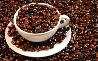 Đặc Điểm Cà Phê Việt Nam  Robusta_dacdiemcafevn1